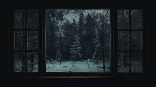 Snow amp Rain  Sleet in Forrest  Quiet Sounds Window View Edition  4k rain snow sleet [upl. by Acire644]