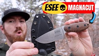 Will This Be The Best EDC Fixed Blade Of 2024 [upl. by Danais]