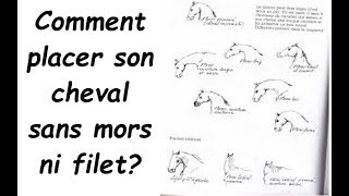 comment placer son cheval sans filet ni mors [upl. by Attenweiler49]