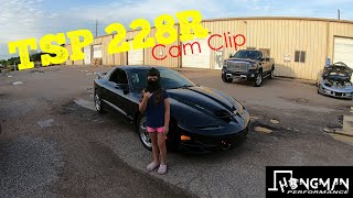 Texas Speed 228R Cam Clip  Idle and Rev with Corsa [upl. by Jeff833]