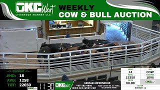 182024  OKC West Weekly Cow amp Bull Auction [upl. by Cenac820]