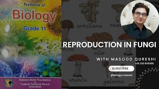 Modes of Reproduction in Fungi  biology  Urdu Hindi amp English  Grade 11  Federal Board Pakistan [upl. by Ym376]