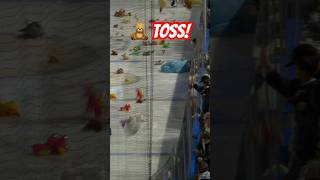 Teddy Bear Toss 🧸🧸 teddy teddybear hockey [upl. by Mordecai704]