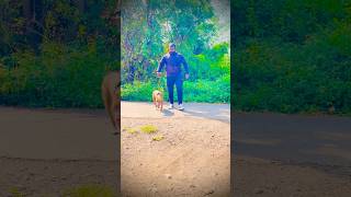 Ek Nat jivana plikdch💯❤️ naturalbodybilding doglover bonding [upl. by Anerac]