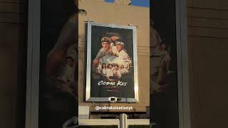 Cobra Kai Season 6 Poster at Sony Pictures CobraKai CobraKaiSeason6 LosAngeles [upl. by Eatnom624]