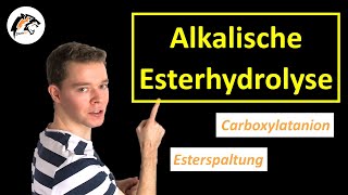 Alkalische EsterhydrolyseVerseifung  Chemie Tutorial [upl. by Carmelo554]