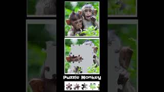 Puzzle shorts monkey game [upl. by Saraann]