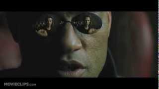 The Matrix  A quotBad Lip Readingquot video [upl. by Yrrak124]