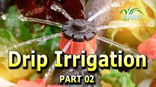 Drip Irrigation Hindi Part 02 [upl. by Airetnohs681]