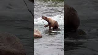 Katmai National Park 72624 [upl. by Batish787]