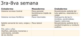 Langman Capítulo 6  De la 3ra a la 8va semana del desarrollo Resumen [upl. by Aitsirk66]