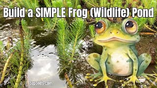 Build Your Own Wildlife Frog Pond [upl. by Einnaf]