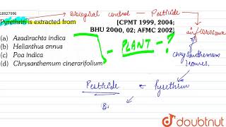 Pyrethrin is extracted from [upl. by Attolrahc985]