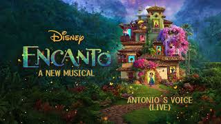 Antonio’s Voice Live Encanto A New Musical [upl. by Lilias695]