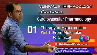 Cardiovascular Pharmacology Ar  01  Therapy of hypertension [upl. by Gotthelf]