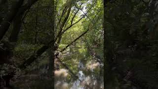 Vulcănița la Hălchiu river vulcanita halchiu brasov boulitravel nature [upl. by Mikel]