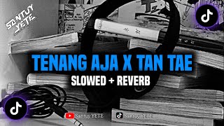 Dj Tenang Aja x Tan Tae Slowed  Reverb [upl. by Gabriela]