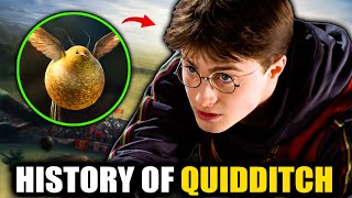 INSANE History of Quidditch 1050  2023  Harry Potter Explained [upl. by Nacnud567]