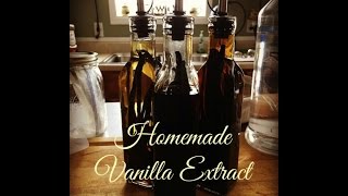 Vlogmas Day 15 How I Make My Homemade Vanilla Extract [upl. by Adyeren833]