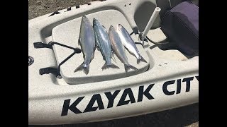 How To Set Up A Downrigger For Kayak Fishing Podcast No 19 [upl. by Adnoel]