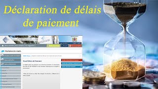 déclaration de délais de paiement  Vidéo 03 [upl. by Anees675]