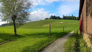 Heiligenhaus Von Abtsküche ins Vogelsangbachtal [upl. by Goldstein]