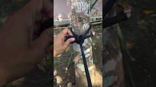 Incredible Circular Knot You Must Know survivalknots knotskill diy [upl. by Derick363]