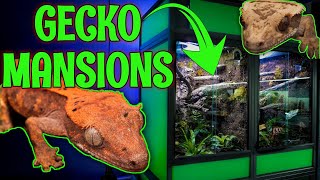 MASSIVE Crested Gecko Bioactive Enclosure REVEAL [upl. by Iand490]