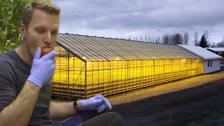 How Geothermal Energy Revolutionised Iceland’s Greenhouses  Earth Science [upl. by Nishom132]