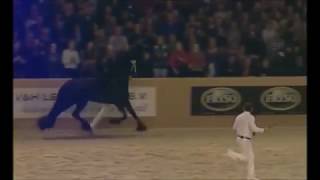 KFPS 469 ALWIN Friesian Stallion Championship 2016  2017 [upl. by Cherilyn965]