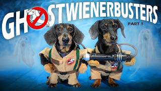 Ep 4 GHOSTWIENERBUSTERS  Funny amp Spooky Dog Video for Halloween [upl. by Atihana527]