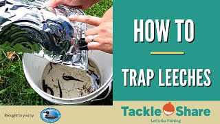 How To Trap Leeches For Fishing in Ontario [upl. by Mikey]