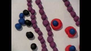 Gas Exchange Claymation [upl. by Misti500]