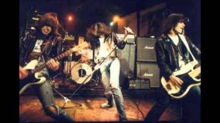 Ramones  Lets Dance  LIVE 81276 ROXY [upl. by Isnam779]