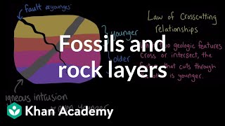 Fossils and rock layers  The geosphere  Middle school Earth and space science  Khan Academy [upl. by Zilevi681]