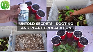 Secret Plant Cuttings Propagation Tips No One Will Tell You [upl. by Pickard905]