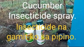 Mga insecticide na mabisang gamitin sa pipino [upl. by Tatum116]