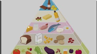 1am Compréhension orale 1am projet 1 séquence 2 la pyramide alimentaire [upl. by Aimekahs14]