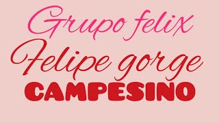 CAMPESINO KaraokeGrupo Felix Felipe Gorge [upl. by Sualkcin]