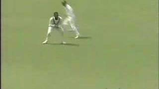 West Indies vs Australia 5th test 1993 part 1of3 [upl. by Gabriello284]