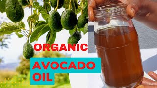 Pure Organic Avocado Oil Made At Home [upl. by Stavro555]