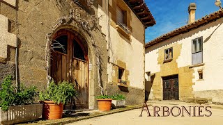 PUEBLOS DE NAVARRA ARBONIÉS  municipio de Romanzado [upl. by Mirak]