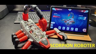 Clementoni Science amp Play Robotics Scorpion Roboter Vorstellung  dertestmichel [upl. by Comfort654]