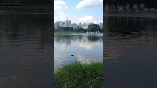 Parque Ibirapuera sp [upl. by Ahseele]