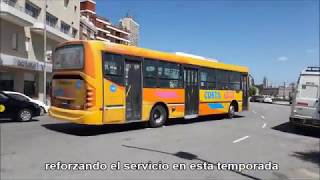 Colectivos de Mar del Plata  Temporada 2018 [upl. by Eidlog]