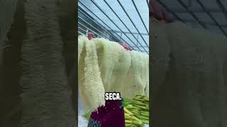 En China se fabrican zapatos con esta fruta😮 shortsvideo [upl. by Adanama]