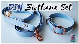 DIY BIOTHANE SET  LEINE HALSBAND HUND [upl. by Priest]