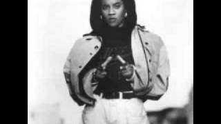 MC Lyte  Survival of the Fittest Remix [upl. by Ehtyaf]