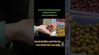 Dovit Carp Fishing Karpfenfutter Groundbait Booster Popup liquid Wafters Boilies fischen рыбалка [upl. by Nonohcle]