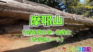 【摩耶山・新神戸駅発】行者尾根分岐～掬星台（青谷道ルート） ”ノーカットで見たい人はコレ！” [upl. by Ogait545]